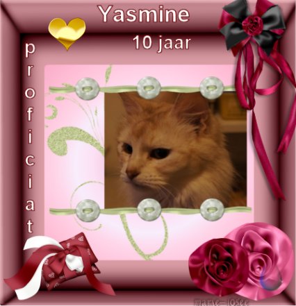 yasmine_10jr_2011.jpg