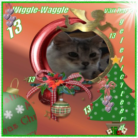 wiggle-waggle_13_2012.jpg