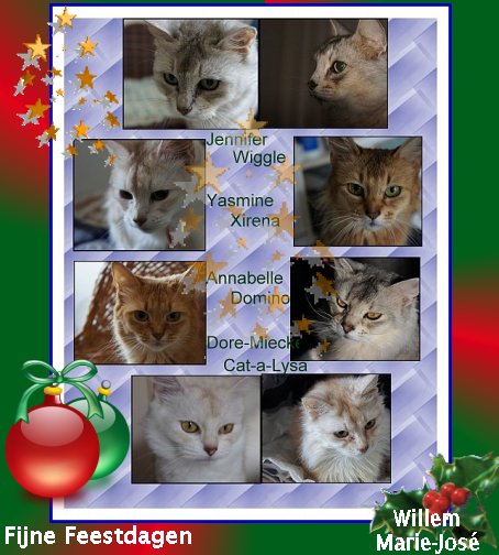 kerstwens-2011.jpg